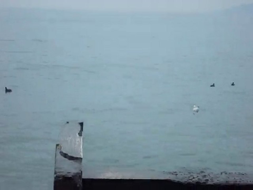 MOV02659