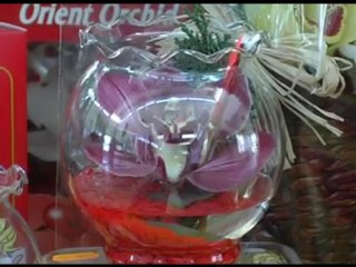 Especial San Valentin 2011 (2)_web