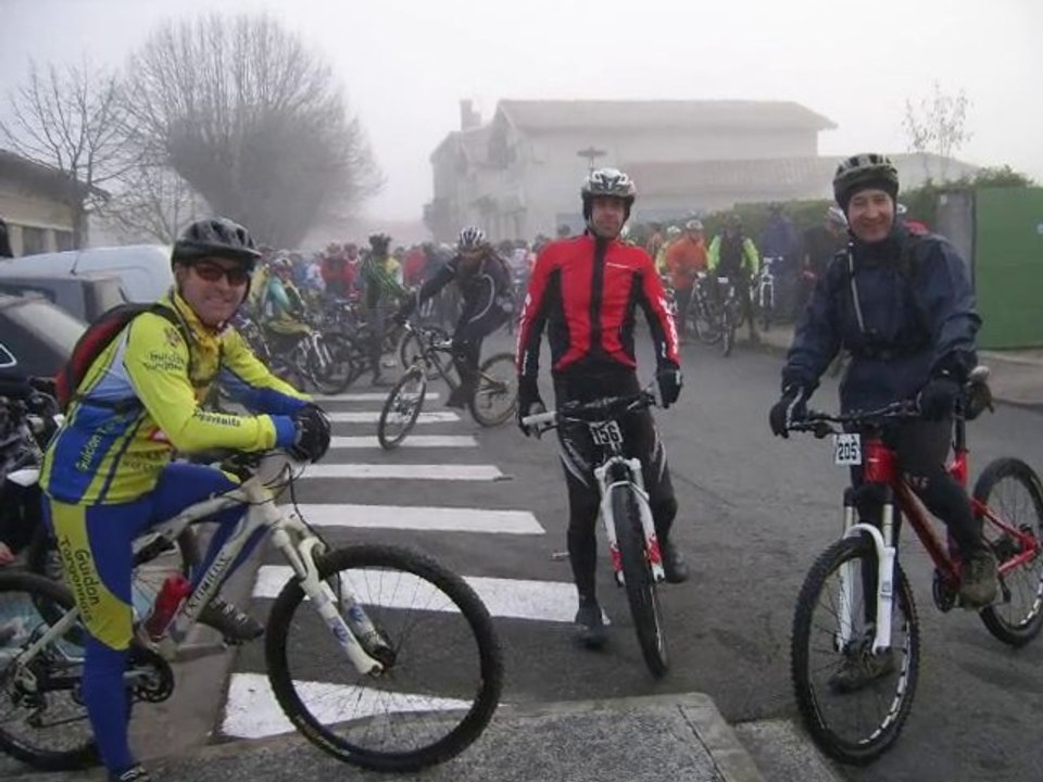 Sangliers 2011