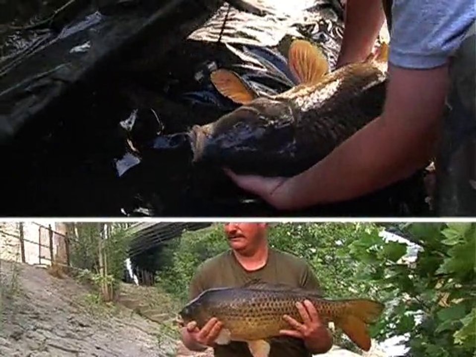 L'enduro de la Carpe en Seine