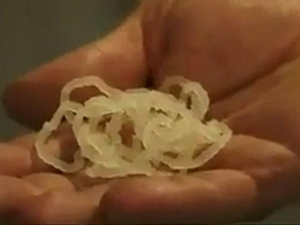 Additifs Alimentaires E441 à la Gélatine de Porc DANGER