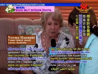 The Dignified Dingoes of Australia's Fraser Island - P1/2