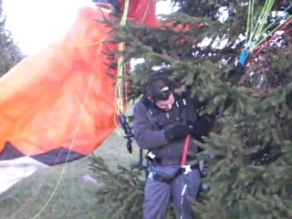 parapente 1 er arbre