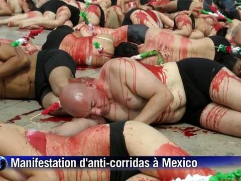 Manifestation anti-corridas à Mexico