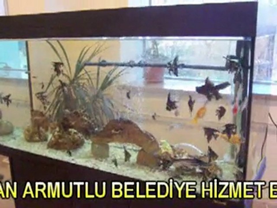 ARMUTLU MESLEK YÜKSEK OKULU