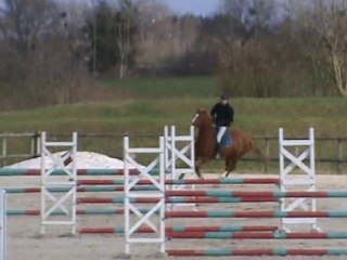 CSO perfect des mulottes Cesson 06022011