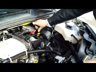 2006 Chevy Uplander LS for sale at Honda Cars of Bellevue