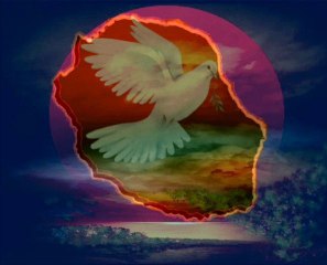 Romain Richard...DEMAIN SANS TOI