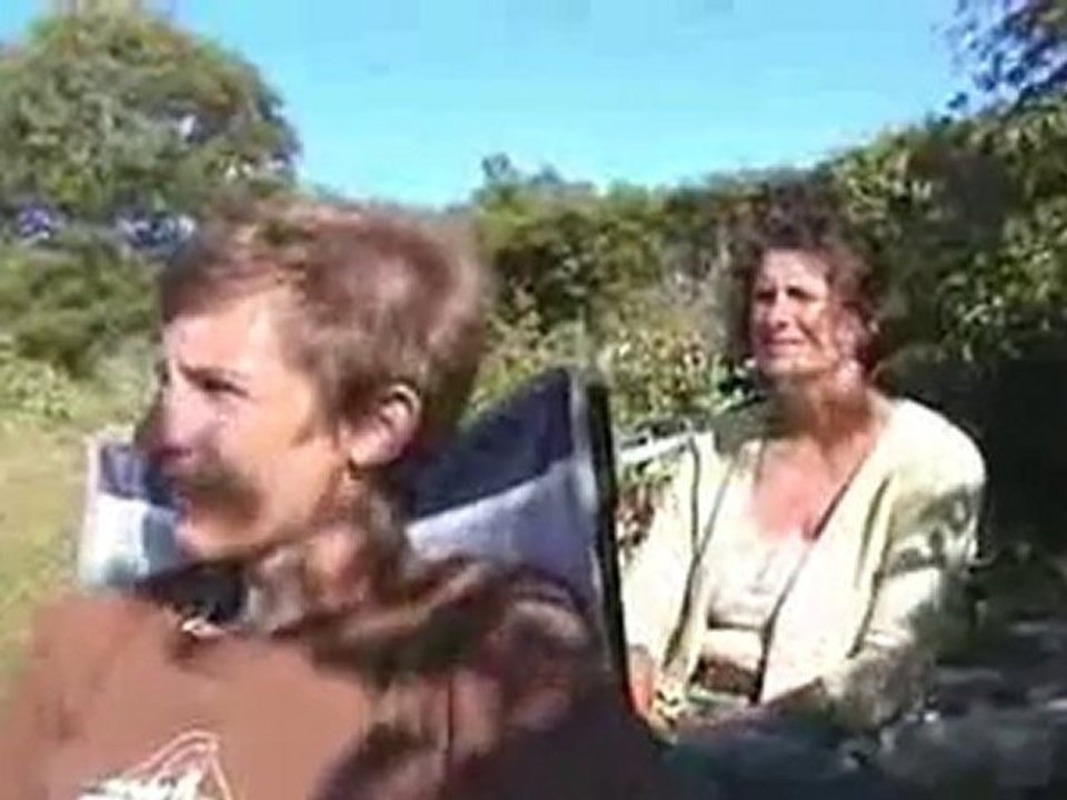 freestyle windsurfing 2008