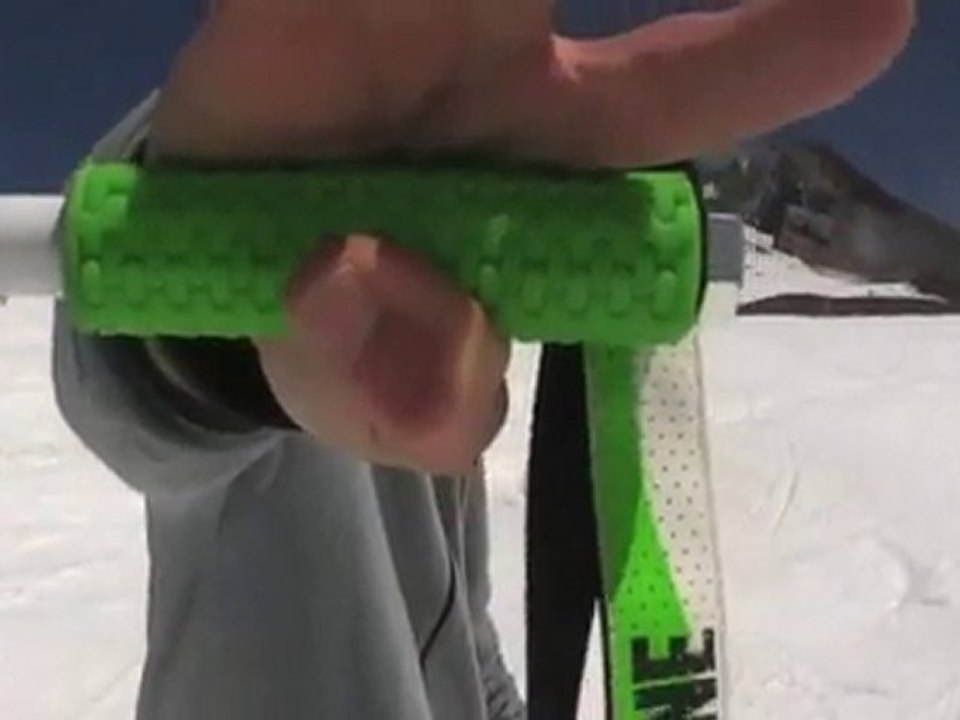 Line Skis 2010 Pointy Sticks with Grips (Ski Poles duh)