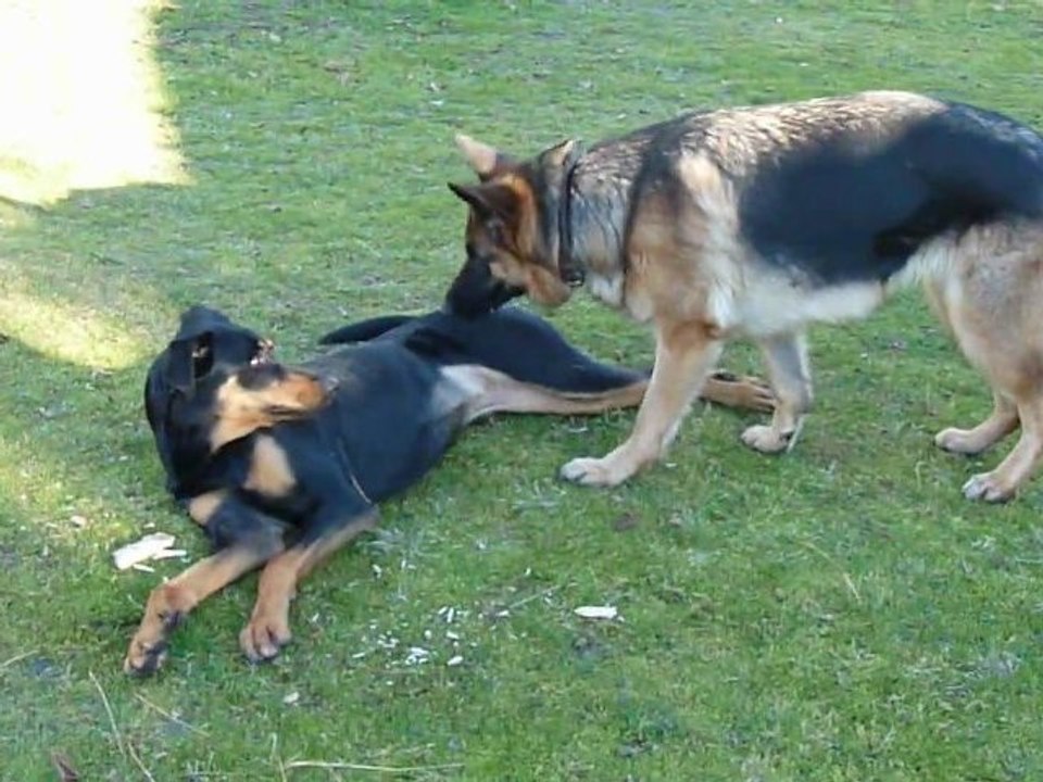 jeu entre Eris et Aïna 1