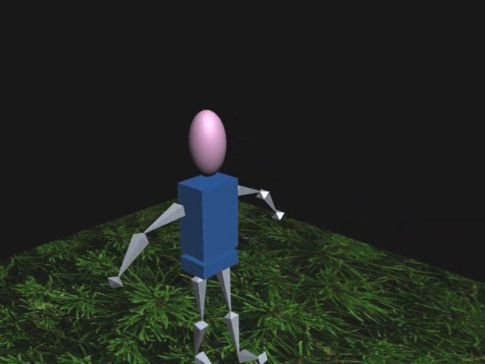 premiere vrai animation
