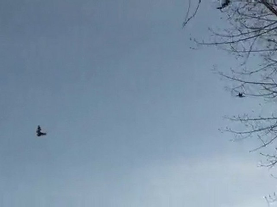 Tahtalı Avı....YALNIZ KURT 57