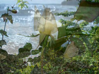 MURAT ODUNCU(HATTAB)AYRILIK OLSUN