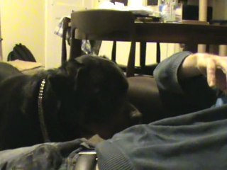 Arkos et son cinéma le soir! lol