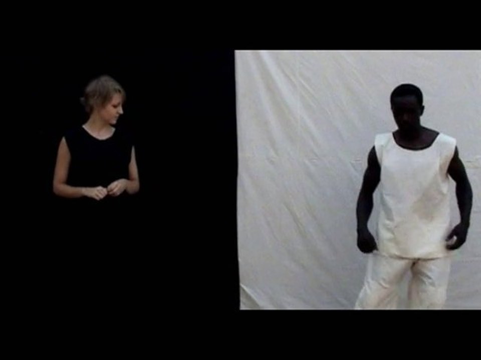 Diploma research - "Le Corps Au Mali" (extrait for Videoformes' Une Minute 2011)