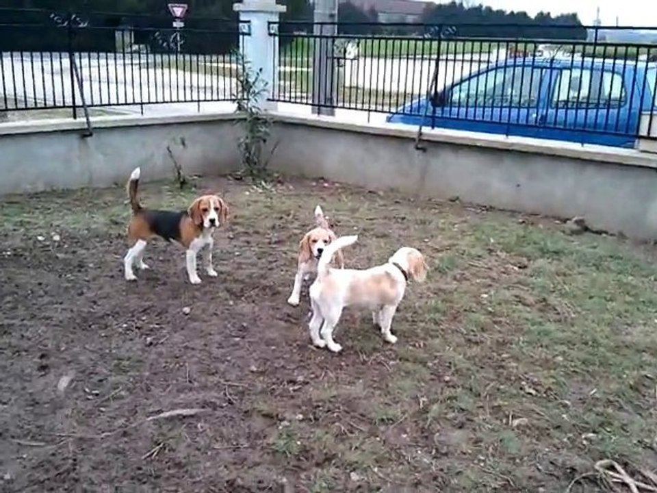 Vidéo0050