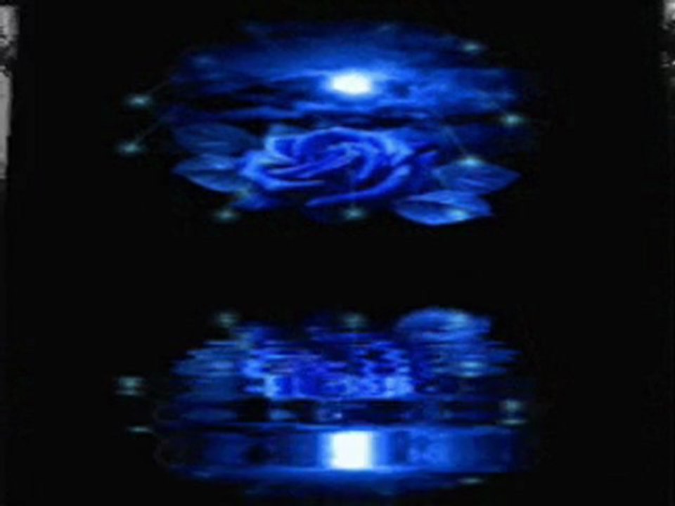 Takvimlerden haberin yokmu...gülay....yavuz959