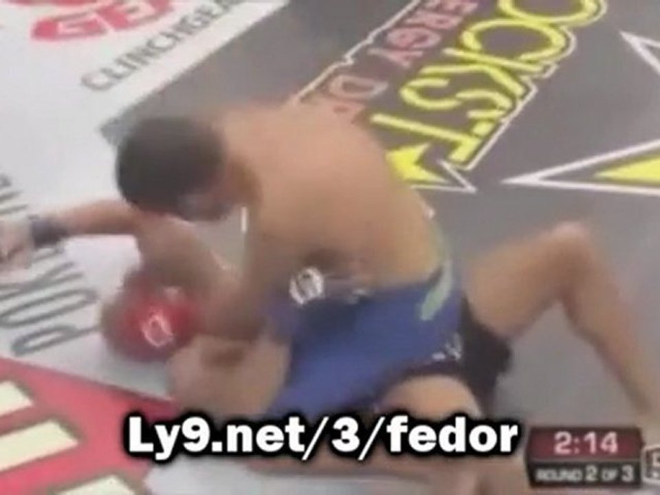 Strikeforce - Can Fedor Beat The Bigfoot?