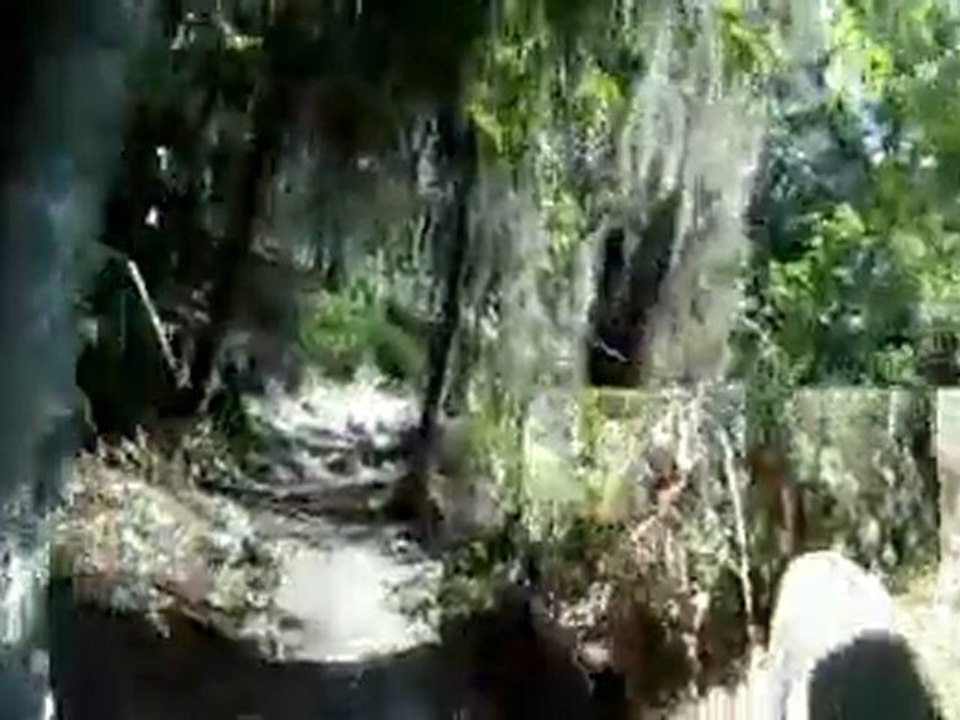 Spiderberm Trails 2 cam Angles @ Balm Boyette Scrub Preserve
