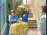 Brazilian news report from the slums, Red Bull Desafio no Morro