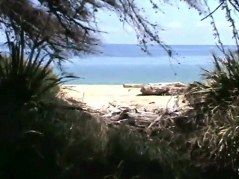 abel tasman