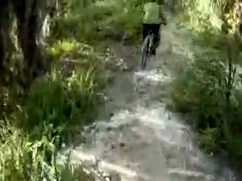 Loyce E. Harpe MTB Trails