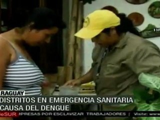 3 distritos de Paraguay en emergencia sanitaria por dengue