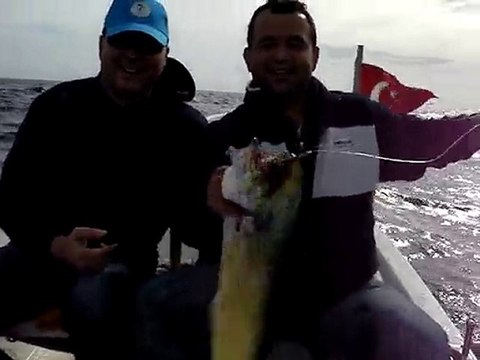 ADRASAN BALIK AVI TURUNDA TROFE LAMBUKA AVI - adrasanbalik.com