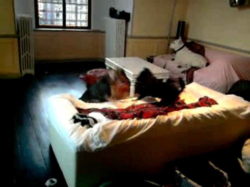 Vidéo0015