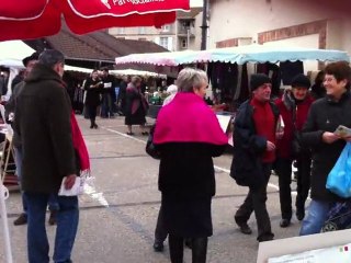 Nelly Léon et les militants PS au marché - 6 février 2011
