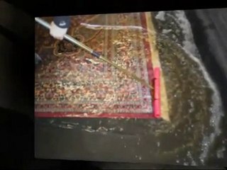 Rug Cleaners Bellingham-WA 360 647 9290