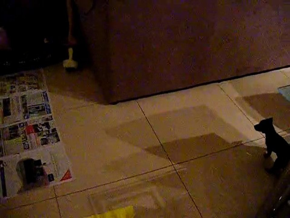 Kya, 3ème jour à la maison - La peur d'un nounours