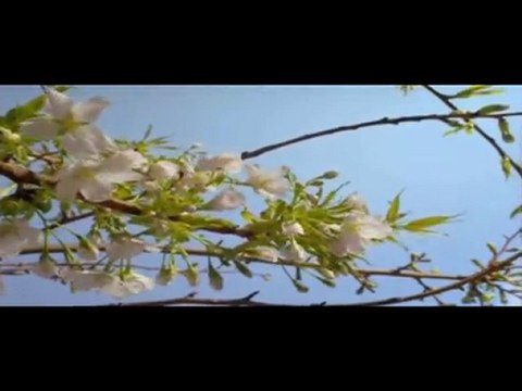 Hz.Muhammed (s.av)-Bir Kılın Hürmetine