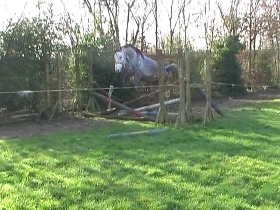 Sympatico Fev 2011 avi.