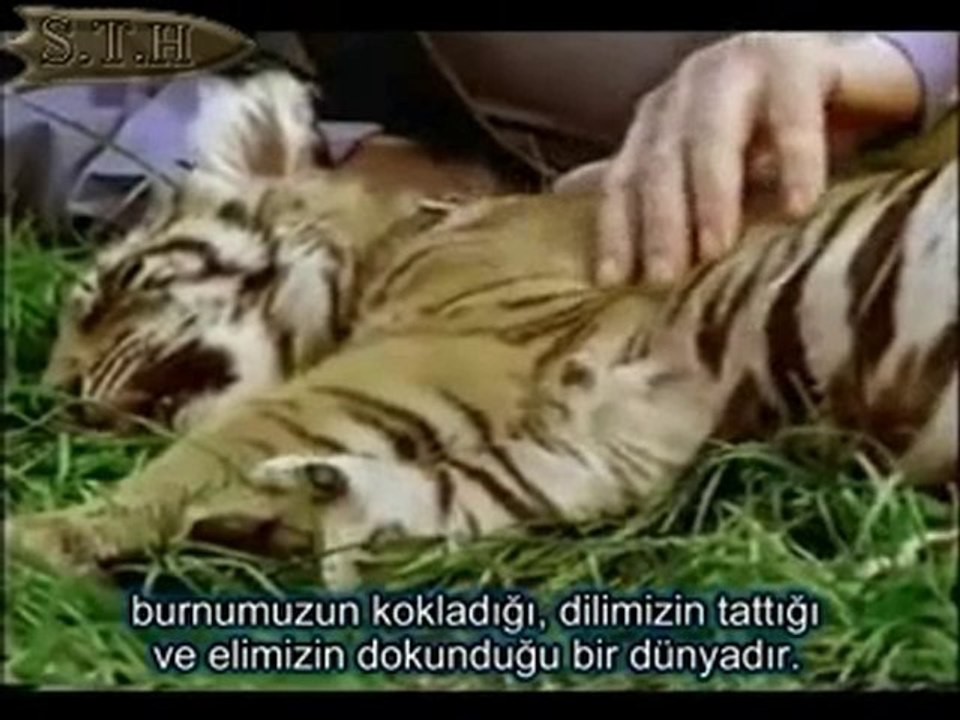 Maddenin Ardındaki Sır