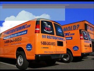 Dallas Mold Removal - Call (888) 243-6653