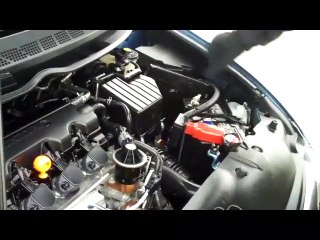 2008 Honda Civic LX for sale at Honda Cars of Bellevue