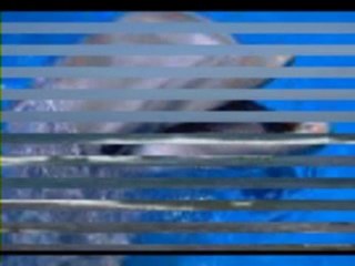 mer extrait de "Bleu Terre"