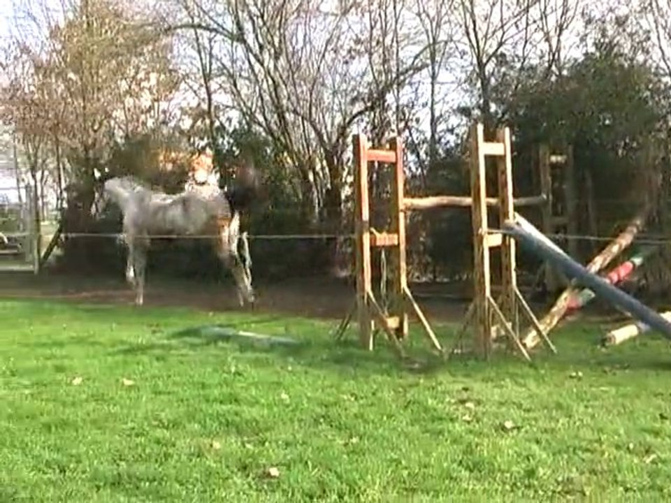 Tip Top Fev 2011 avi