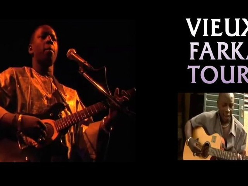 Vieux Farka Touré - Mali