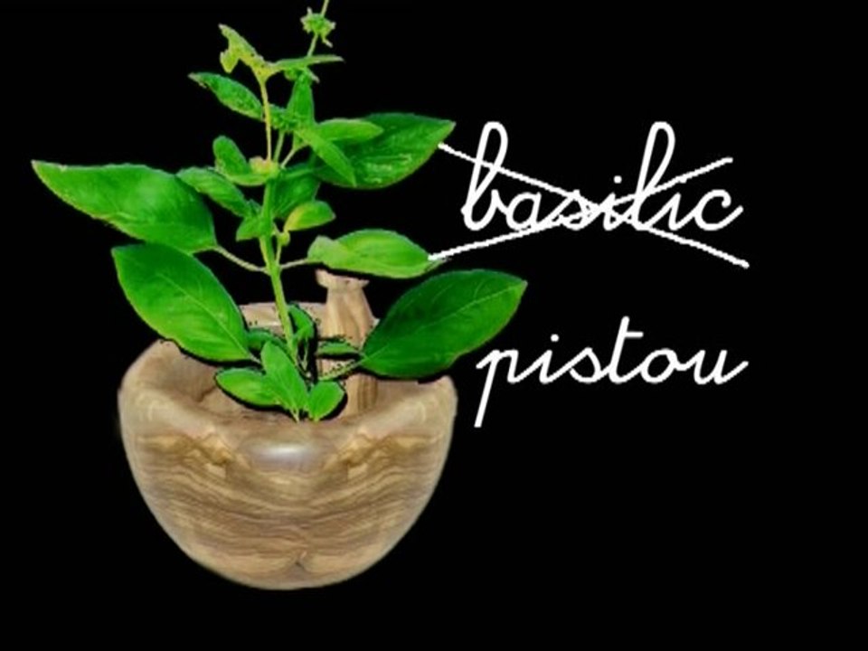 Pistou