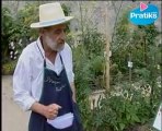 Comment implanter et orienter un potager