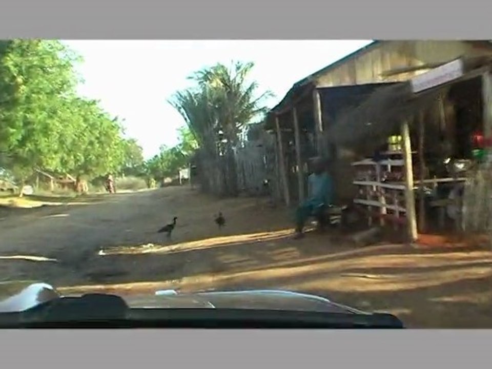 MADAGASCAR 2010- De Bekopaka à Morondava (Allée des Baobabs)
