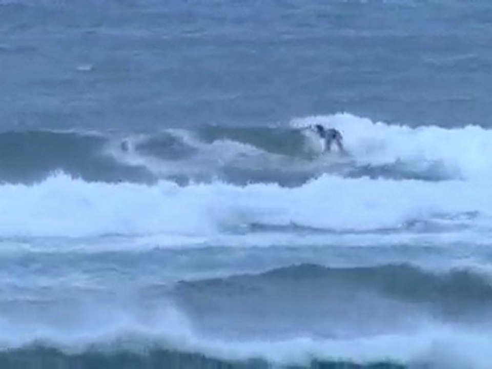 Womens Wave of the Day at the ONeill World Cup of Surfing