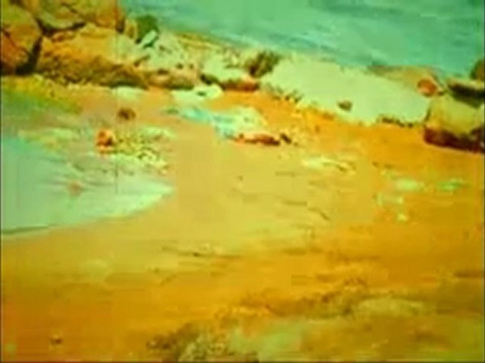 "Toxic Wasted" Red Bull Meltemi Stories