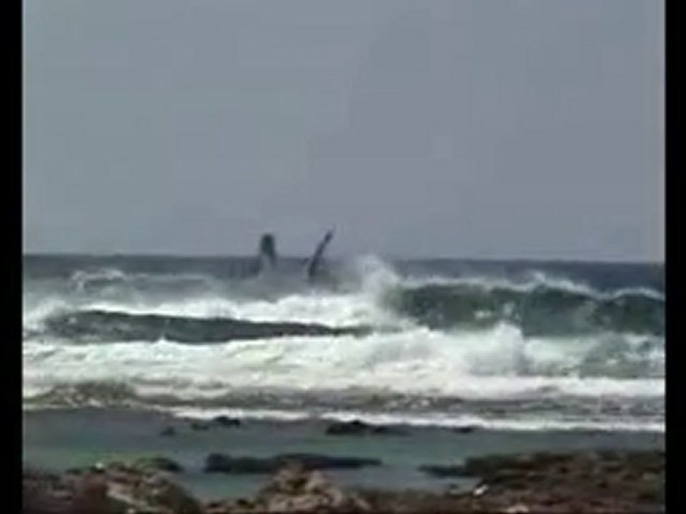 "Fourtounakides" Red Bull Meltemi Stories