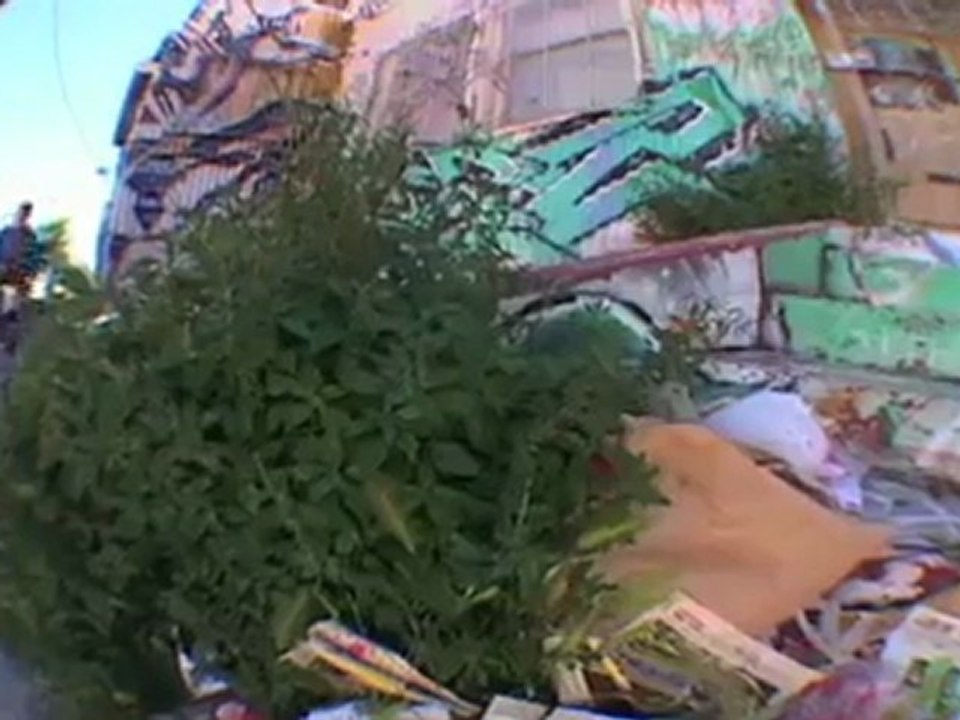 BMX Sessions- SEAN BURNS, ASHLEY CHARLES, CHESTER BLACKSMITH, DARRYL TOCCO, AND RANDY TAYLOR