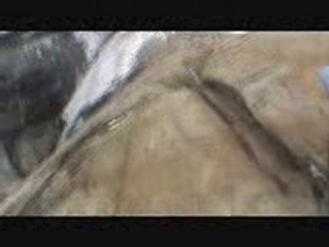 Extreme BASE jumping in wingsuits