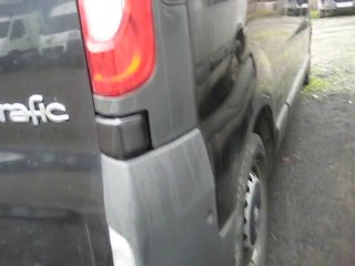 utilitaire renault trafic